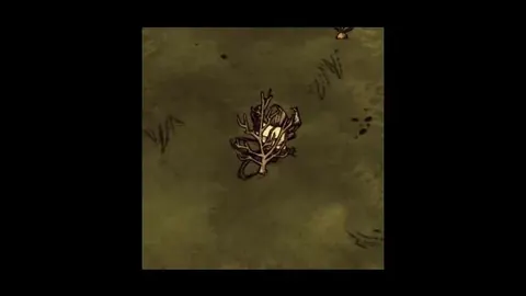【Mod介紹】Don't Starve Together(飢荒聯機版)  快速採集 節省大量時間喔~